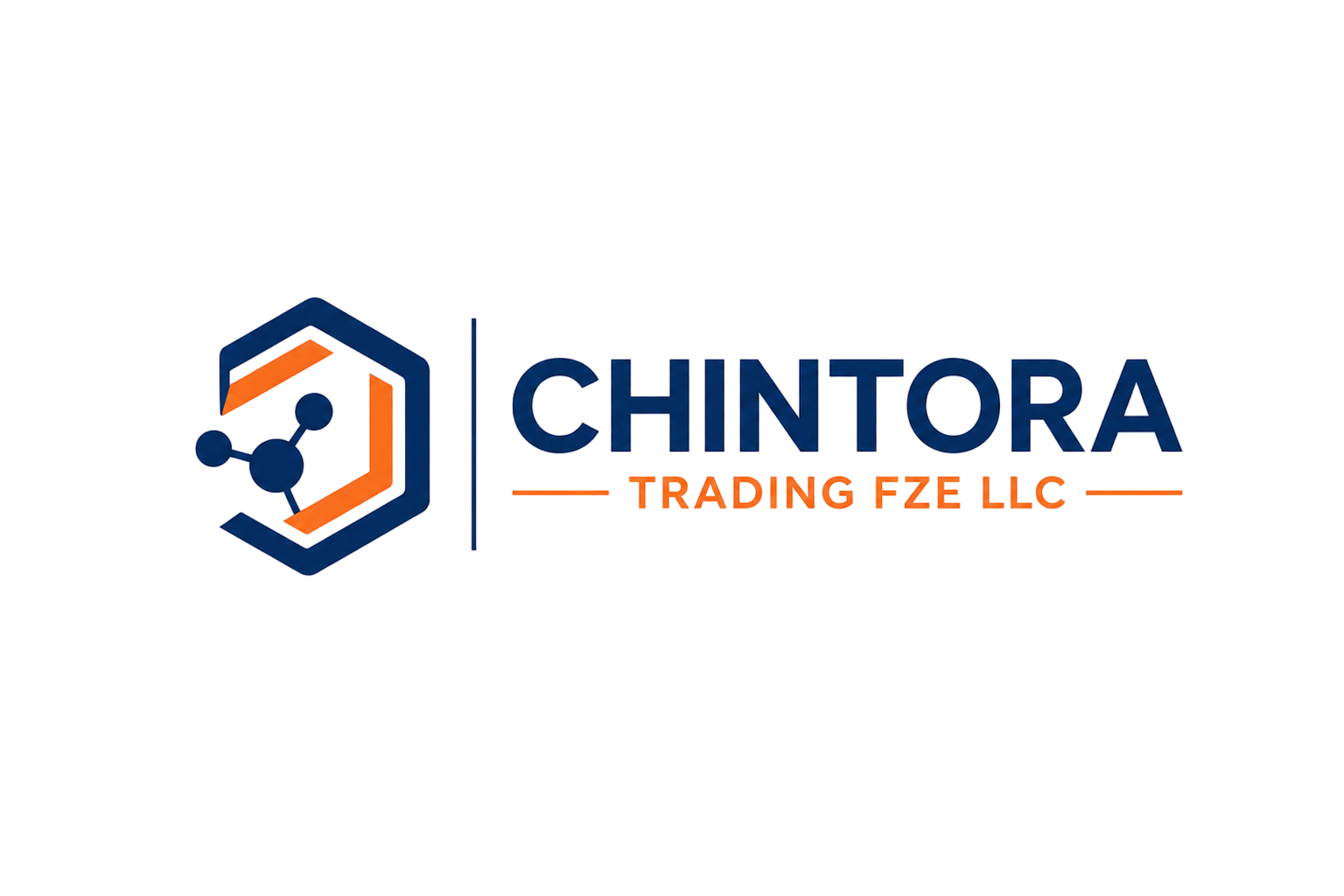Chintora FZE LLC logo