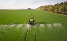 Agrochemicals industry